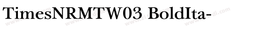 TimesNRMTW03 BoldIta字体转换